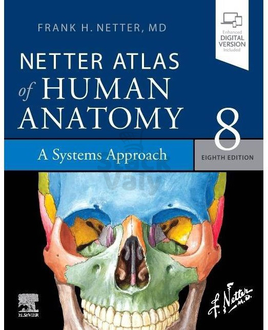 Netter Atlas of Human Anatomy